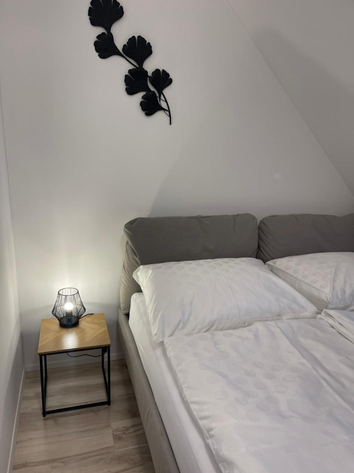 Apartmanovy Dum Jansky Sen Janské Lázně Eksteriør billede